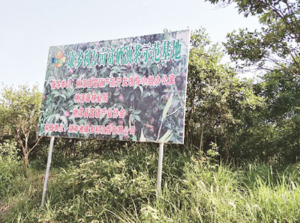 mg���ֵ�����Ϸ��վ(�й���)�ٷ���վ