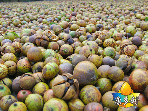 �л��Ͳ����4