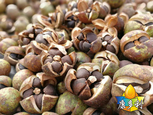 �л��Ͳ����8