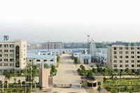 mg���ֵ�����Ϸ��վ,�Ͳ�ݪֲ�����ӹ�����,ֲ����ݪֲ�����ӹ�����