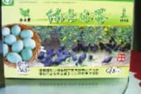 mg���ֵ�����Ϸ��վ,�Ͳ�ݪֲ�����ӹ�����,ֲ����ݪֲ�����ӹ�����