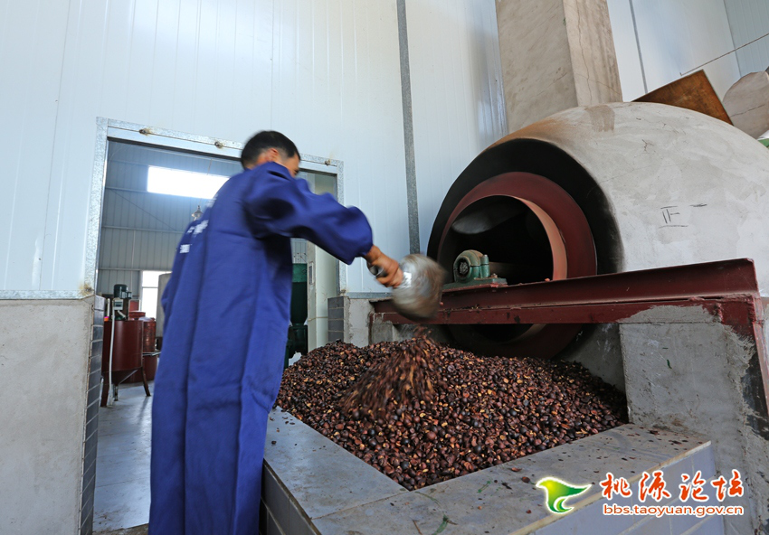 mg���ֵ�����Ϸ��վ,�Ͳ�ݪֲ�����ӹ�����,ֲ����ݪֲ�����ӹ�����