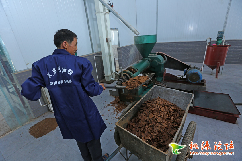 mg���ֵ�����Ϸ��վ,�Ͳ�ݪֲ�����ӹ�����,ֲ����ݪֲ�����ӹ�����