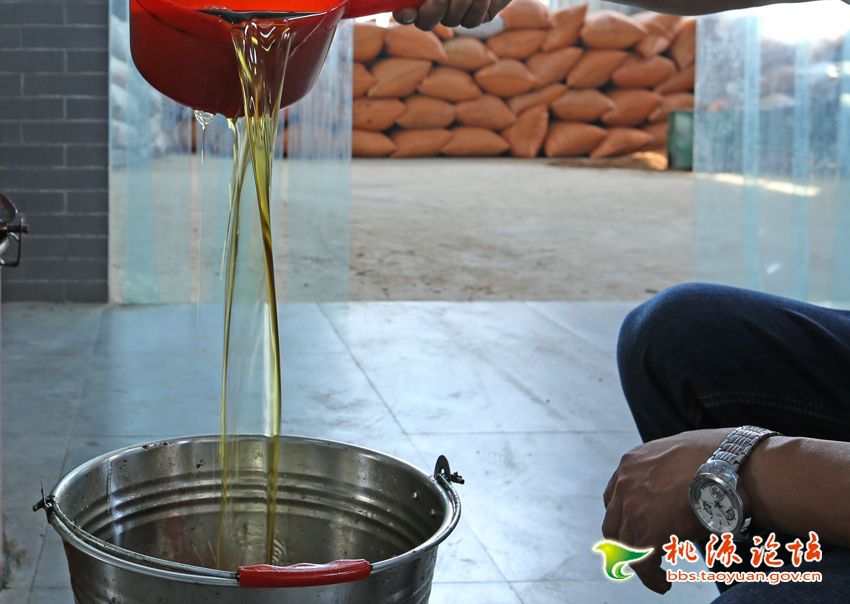 mg���ֵ�����Ϸ��վ,�Ͳ�ݪֲ�����ӹ�����,ֲ����ݪֲ�����ӹ�����